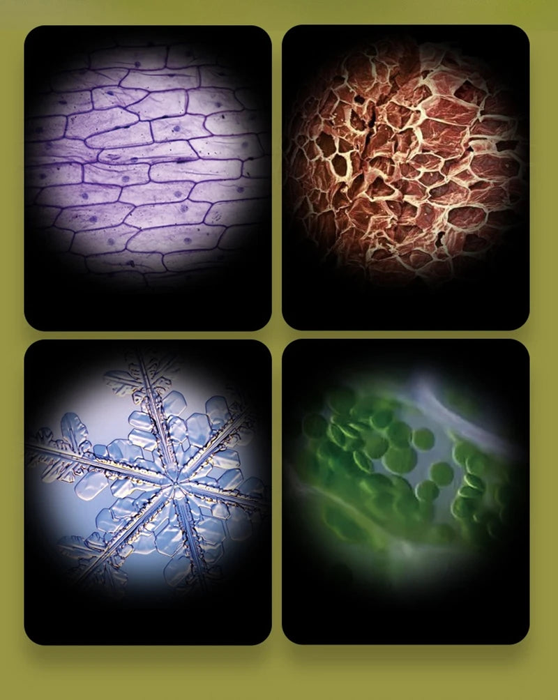 Kids Pocket Microscope STEM Kit 60-120x with Light